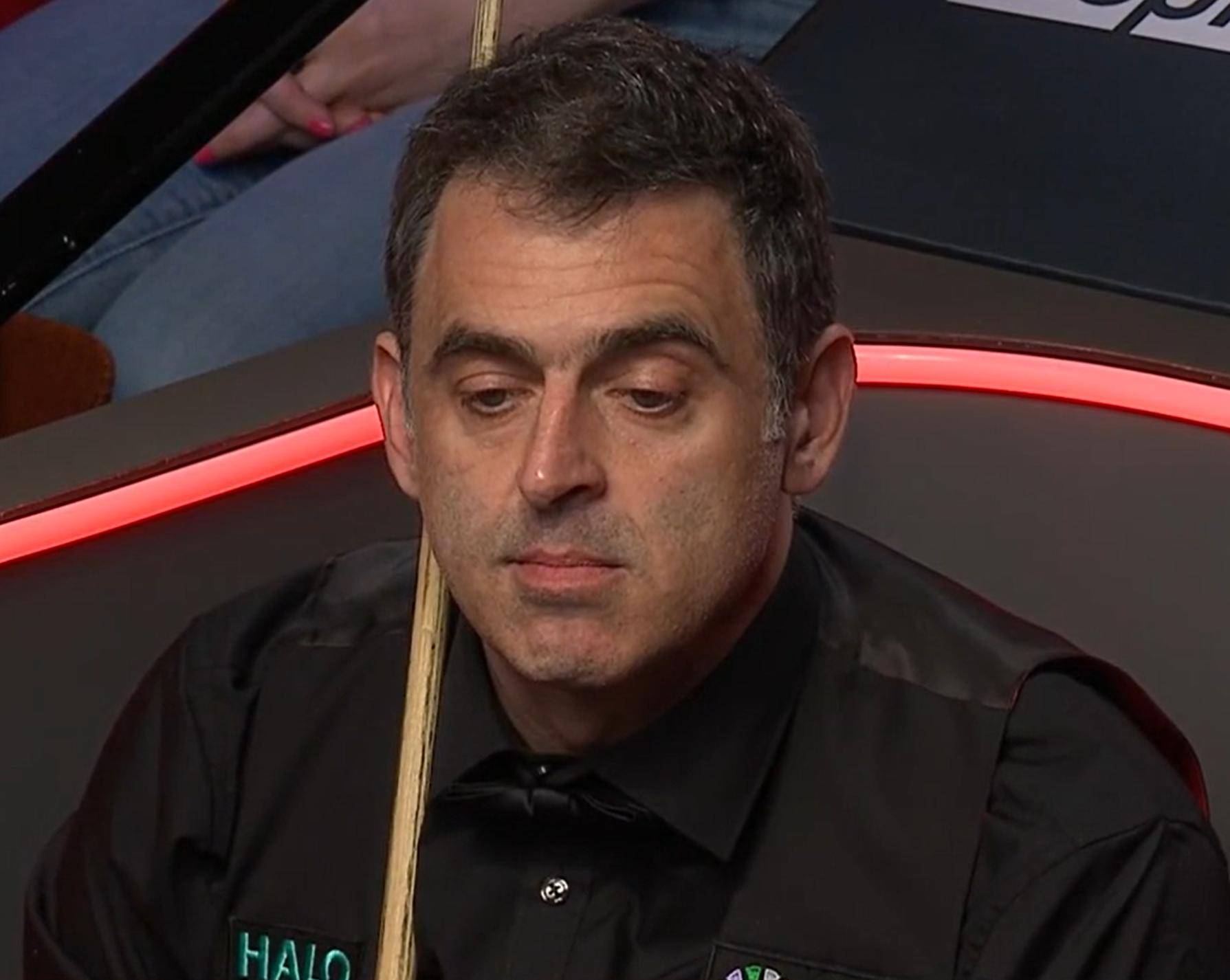 协作精神给 协作精神给